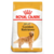 Royal Canin Golden Retriever Adult