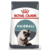 Royal Canin Hairball Care