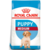 Royal Canin Medium Puppy