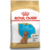 Royal Canin Poodle Puppy