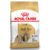 Royal Canin Shih Tzu Adult