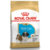 Royal Canin Shih Tzu Puppy