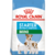 Royal Canin Starter Mini