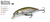 Isca Artificial Molix Rolling Minnow 60 FS