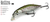 Isca Artificial Molix Rolling Minnow 85 FS