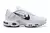 AIR MAX PLUS TN 1 '' Silver Swoosh ''