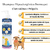 Kit Shampoo Clorexidina + Spray Lamdebura Coceira Dermatite e Seborreia Oleosa Em Cães Fragrância Neutro - loja online