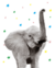 Quadro Elefante filhote realista - loja online