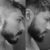 Imagem do Creme para Crescimento de Barba e Cabelo