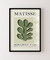 Quadro Decorativo Matisse EQ03