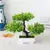 Planta de plástico artificial de bonsai - GCASHOP Produtos Eletrônicos