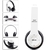 Alfa Headphone P47 - Criativo