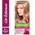 Garnier Nutrisse Coloracion Cor Intenso 8.1