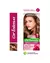 Garnier Nutrisse Coloracion Cor Intensa 6.1