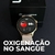 LIFE SMARTWATCH A PROVA D'ÁGUA 1 ATM AMOLED | BATERIA DE LONGA DURAÇÃO| 100 MODOS DE ESPORTES - X Wear Golden