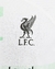 Camisa branca do Liverpool II 23/24 com detalhes em verde e preto, logo da Nike e patrocinador Standard Chartered.

