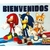 Afiche Bienvenido/Feliz Cumple Sonic - comprar online