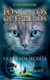 GATOS GUERREROS 01 MIRADA SECRETA