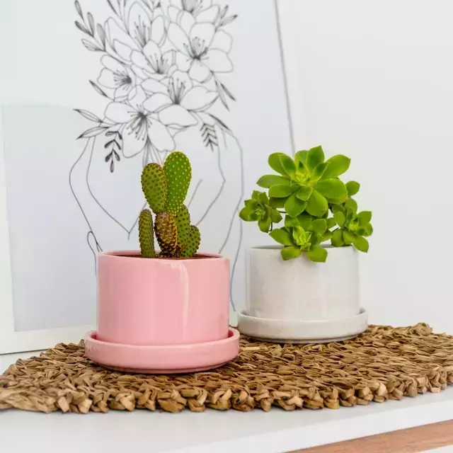 Maceta chica con plato de cerámica 9x10cm