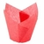 Tulipa Pirotin Rojo N°10 x 10u - MOLDPACK