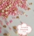 Sprinkles Mix Princesa Corona Rosa, perlas Rosas y Dorada 35 gr - T12 - CANDY SPARK