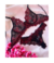 Conjunto de Lingerie Preta com Vermelho