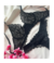 Conjunto de Lingerie em Renda Preta - comprar online