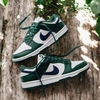 Nike Dunk Verde