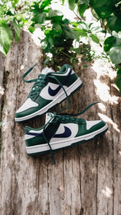 Nike Dunk Verde - comprar online