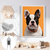 Quadro Decorativo BullDog