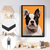 Quadro Decorativo BullDog - Vision Art Decor