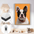 Quadro Decorativo BullDog - loja online