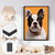 Quadro Decorativo BullDog