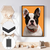 Imagem do Quadro Decorativo BullDog