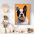 Quadro Decorativo BullDog