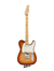 Fender Ltd. Ed. Player Telecaster Plus Top MN Sienna Sunburst