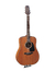 Takamine G Series GD11M-NS