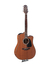 Takamine G Series GD11MCE-NS