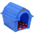 Dog House Pequena Azul Especial