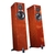 Totem Acoustic Forest Signature