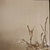 Papel de Parede Sem Desenho Off White MODERN RUSTIC 122005 - comprar online