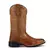 Bota Texana Premium LongHorse - loja online