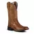 Imagem do Bota Texana Premium LongHorse