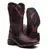 Bota Texana Arame Farpado - comprar online