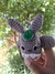 Amigurumi Totoro – Encante-se com a Magia da Floresta! na internet