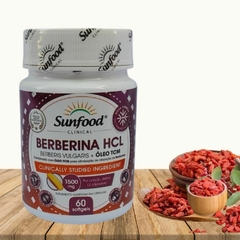 Berberina HCL Óleo TCM Sunfood 1500mg 60 cápsulas - HarmoVital Suplementos