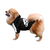 Cachorro lulu da pomerânia vestindo Casaco de Moletom Adidog para pets, cachorro pequeno, modelo fechado com mangas e capuz , com estampa ADIDOG  na cor preto - produto importado.