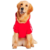 Cachorro golden vestindo Casaco de Moletom Adidog para pets, cachorro grande, modelo fechado com mangas e capuz , com estampa ADIDOG  na cor vermelho - produto importado.