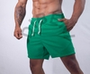 Short Linho Masculino Verde Bandeira