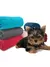 Kit com 2 Mantinhas Para Pet - comprar online